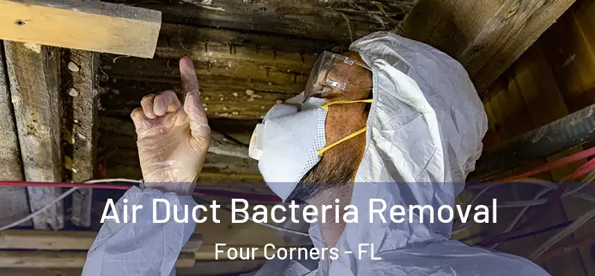 Air Duct Bacteria Removal Four Corners - FL