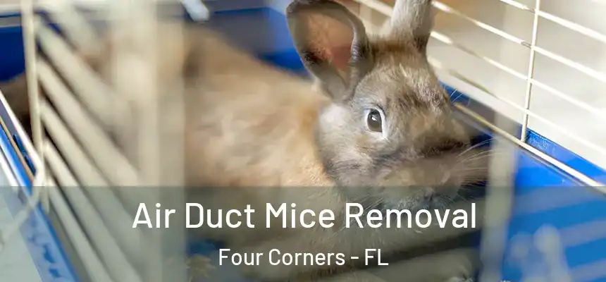 Air Duct Mice Removal Four Corners - FL