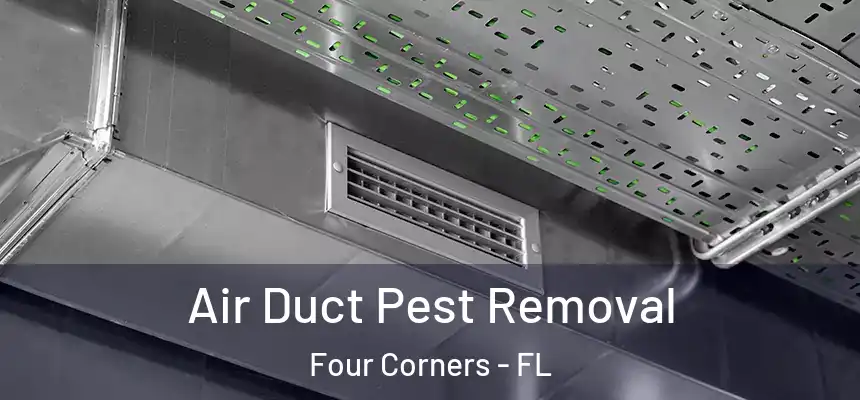 Air Duct Pest Removal Four Corners - FL