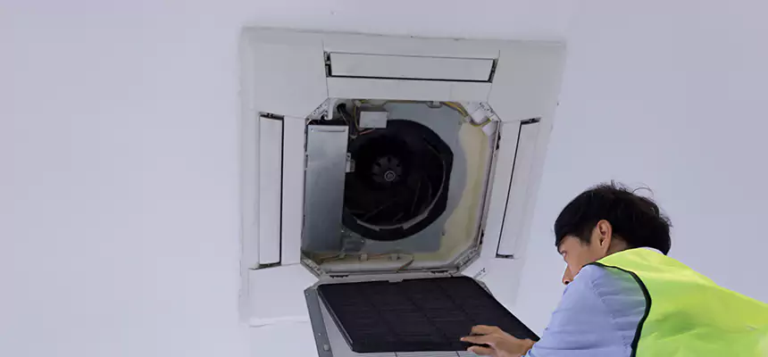 Our Dryer Vent Sanitization Service Services in Four Corners, FL