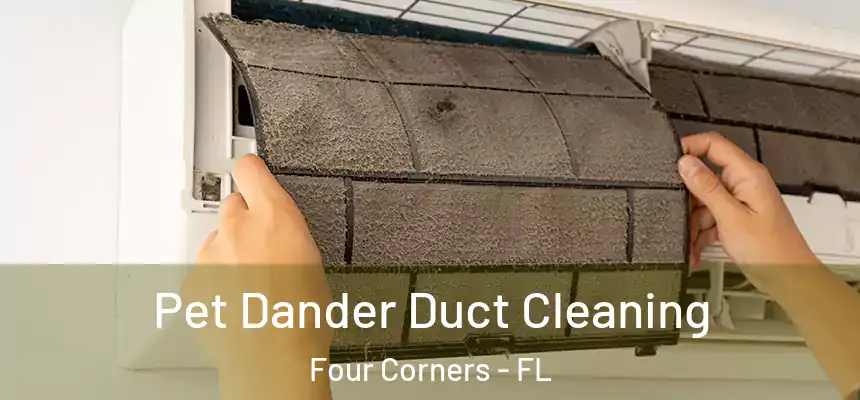  Pet Dander Duct Cleaning Four Corners - FL