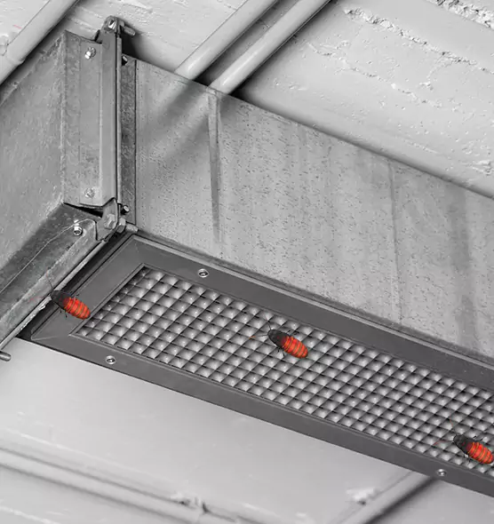 Affordable Insect Removal from Air Ducts in Four Corners, FL