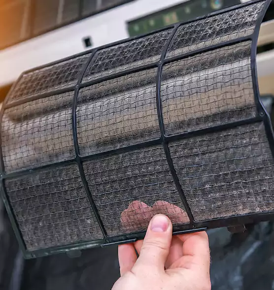 About Pet Dander Duct Cleaning in Four Corners, FL
