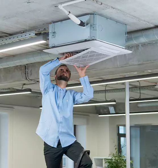 Advanced Rodent Droppings In Vents in Four Corners, FL